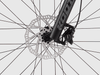Bruni 29 8.0